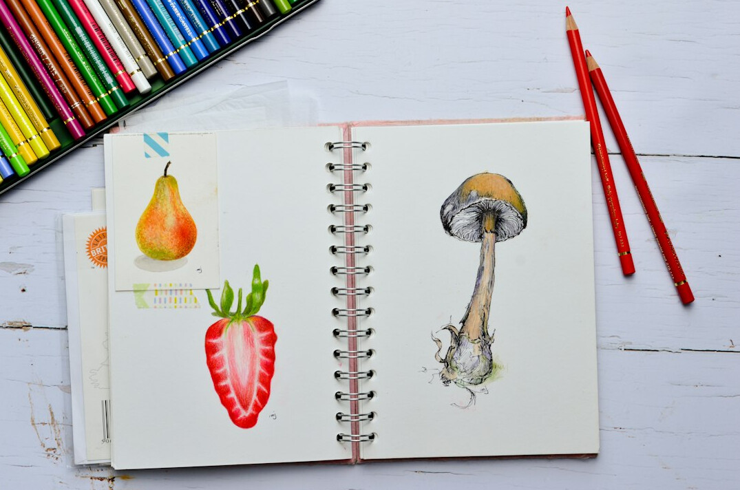 Open sketchbook with pencil drawings and watercolor