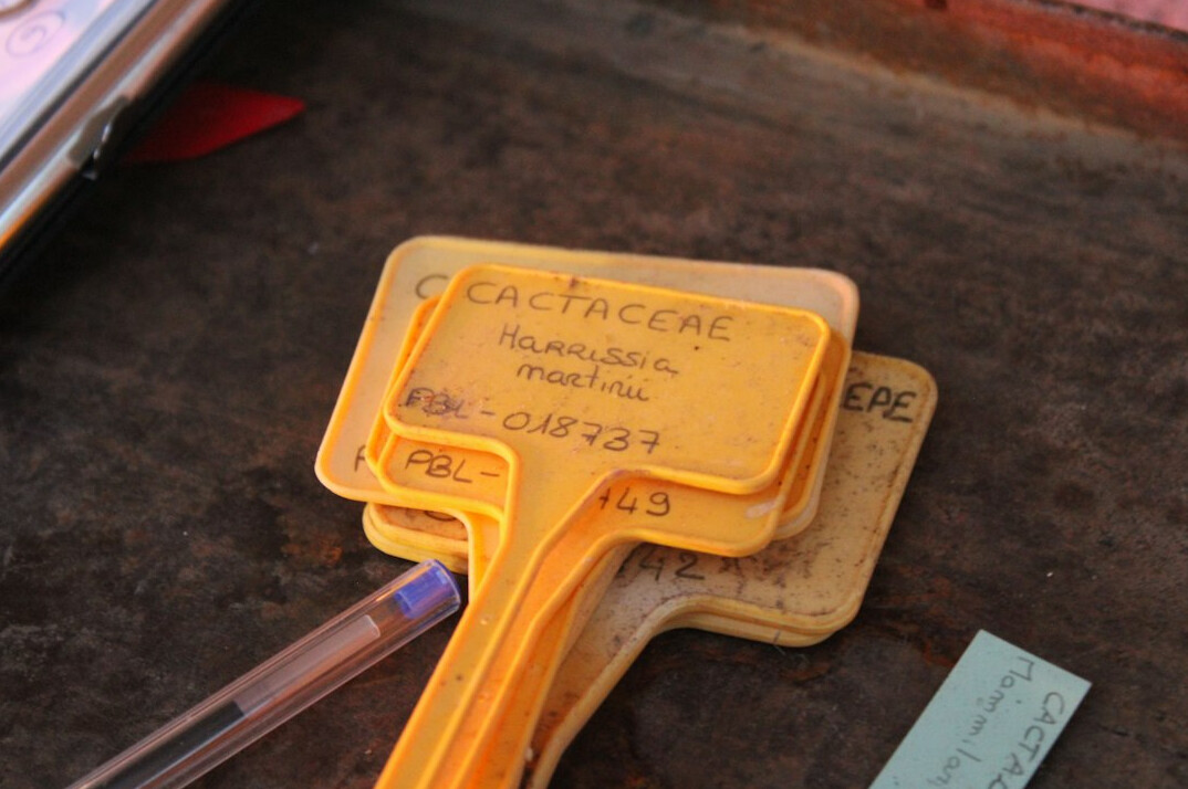 Index cards with catalogue notes and a magnifying glass